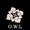 Owl Eyes - Intro