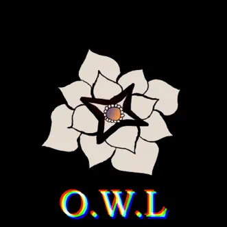 Too Blind to See by Owl song reviws