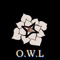 Red Rose - Owl lyrics