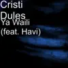 Ya Waili (feat. Havi) - Single album lyrics, reviews, download