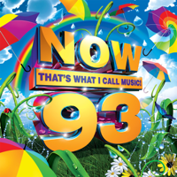 Various Artists - Now That's What I Call Music! 93 artwork