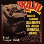 Brasil (Brasil Tropical Sound) artwork