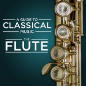 Concerto in G Major for Flute and Orchestra, QV 5:174: III. Presto artwork