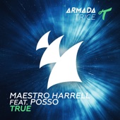 True (feat. Posso) [Extended Mix] artwork