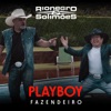 Playboy Fazendeiro - Single