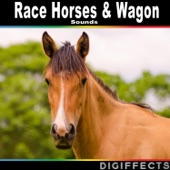 Galloping Horse Passing and Stopping on Gravel by Digiffects Sound Effects Library