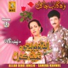 Wah Gulab Ja Gul, Vol. 1