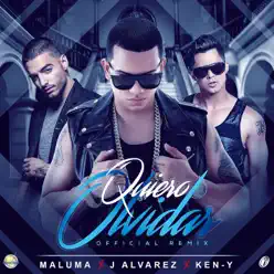 Quiero Olvidar (Remix) - Single - J Alvarez
