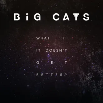 What If It Doesn't Get Better? by Big Cats! album reviews, ratings, credits