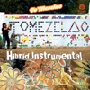 Hibrid Instrumental, 2010