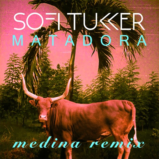 Cover artwork for Matadora (Medina Remix)