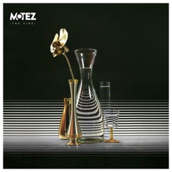 Motez - The Vibe (feat. Scrufizzer)