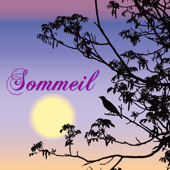 Bol tibetain - Sommeil et Détente