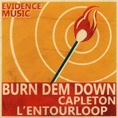 Burn Dem Down (L'Entourloop Remix) - Single