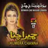 Bewafa Cho Wasari Chaddi, Vol. 12 album lyrics, reviews, download