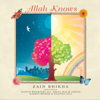 Allah Knows (feat. Dawud Wharnsby Ali) - Zain Bhikha