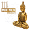 111 Tracks: Meditation Mantras - Zen Garden & Asian Chakra Balancing, Reiki Healing Therapy Sounds, Buddha Lounge Music & Yoga Studio - Various Artists