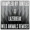 Stream & download Wild Animals Remixes - Single