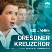 800 Jahre Dresdner Kreuzchor (Lieder aus 8 Jahrhunderten) artwork