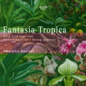 Géza Frid: Fantasia tropica artwork