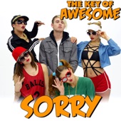 Sorry - Parody of Justin Bieber's "Sorry" artwork