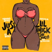 Trinidad James feat. Mystikal and Lil Dicky - Just A Lil' Thick (She Juicy)