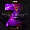 Lovin (feat. Neon Hitch) - Single