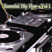 Essential Hip Hop - Vol 1 artwork