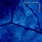 Shackleton - Deep Chill Network lyrics