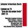 Johann Sebastian Bach: Cantata no. 78, “Jesu der du meine Seele” BWV 78 album lyrics, reviews, download