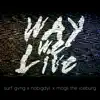 Way We Live - Single album lyrics, reviews, download