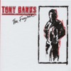 Tony Banks - Charm