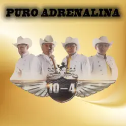Puro Adrenalina - Grupo 10-4