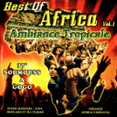 Ambiance tropicale: Soukouss à gogo, Vol. 1 - Various Artists