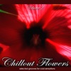 Chillout Flowers, Vol. 2 (Selected Grooves for Cool Sensations)