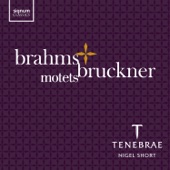 Brahms & Bruckner: Motets artwork