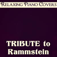 Relaxing Piano Covers - Tribute to Rammstein artwork