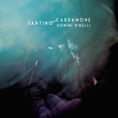 Amsterdam - Santino Cardamone