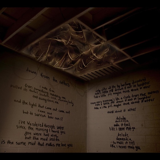 Cover artwork for Down From the Rafters (The Hecker Remix)