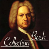 Orchestral Suite No. 2 in B Minor, BWV 1067: VII. Bandinerie - Giovanni Cassani & Accademia Musicale