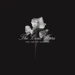 You Are My Sunshine - Single - The Civil Wars