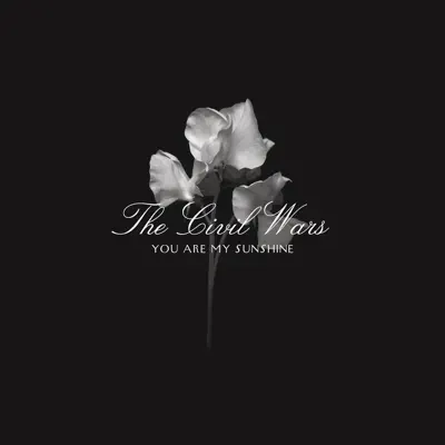 You Are My Sunshine - Single - The Civil Wars You Are My Sunshine - Single - The Civil Wars