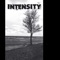 Resist Control - Intensity lyrics