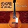 Grandes Éxitos en Guitarra, Vol. 8