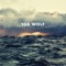 Dear Fellow Traveller - Sea Wolf lyrics