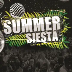 Summer Siesta by Various Artists album reviews, ratings, credits