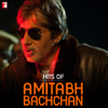 Hits of Amitabh Bachchan - EP - Various Artists
