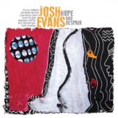Josh Evans - Steps