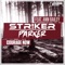 Courage Now (feat. Ann Bailey) [Radio Edit] - Str!ker & Parker lyrics
