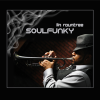 Lin Rountree - Soulfunky artwork
